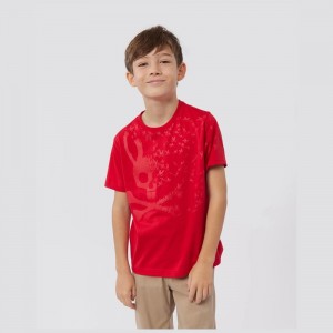Tees Psycho Bunny Mullen Graphic Tee Niños Rojos | OY5231478