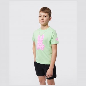 Tees Psycho Bunny Pisani Bunny Graphic Tee Niños Verde Menta | MQ8415632