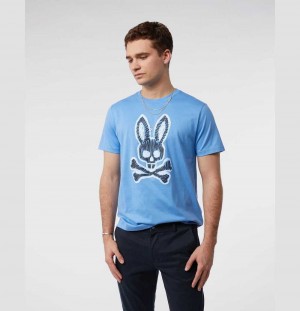 Tees Psycho Bunny Wardell Graphic Tee Hombre 425 Mountain Sky | HS1562039