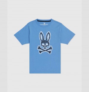 Tees Psycho Bunny Wardell Graphic Tee Niños 425 Mountain Sky | AE5283716