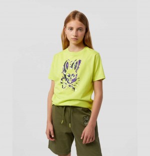 Tees Psycho Bunny Waverly Graphic Tee Niños 320 Lime Granita | PD9023681